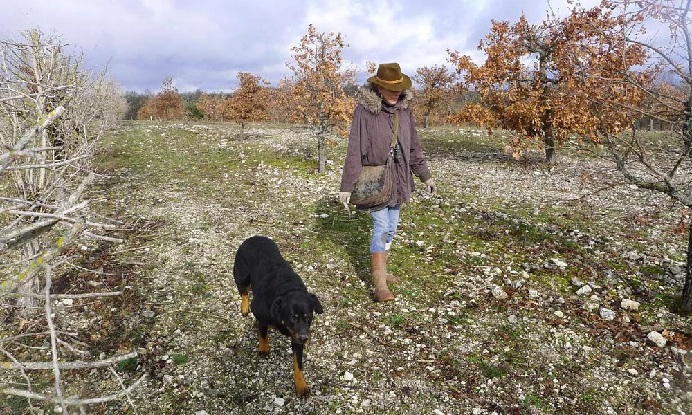 Events and experiences