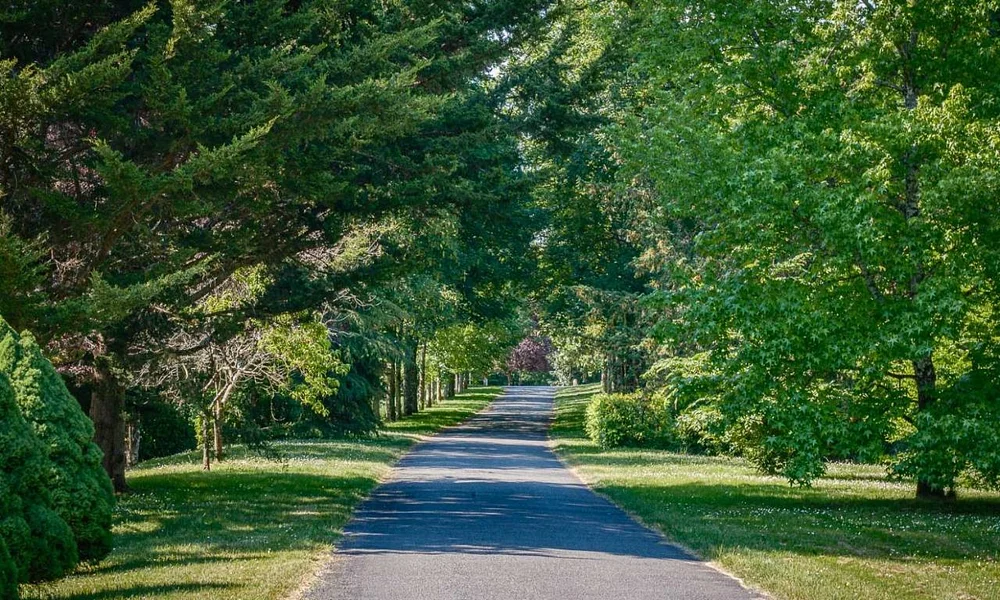 Events and experiences