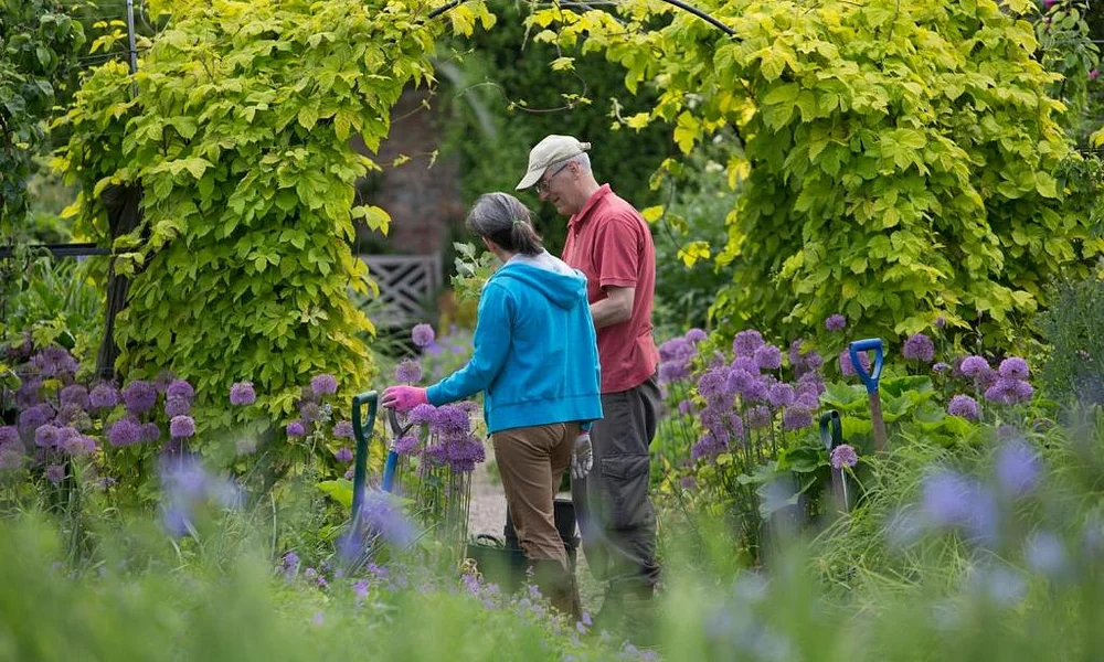 Events and Experiences