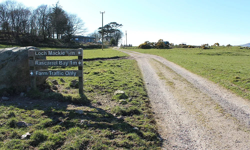 Events & Experiences