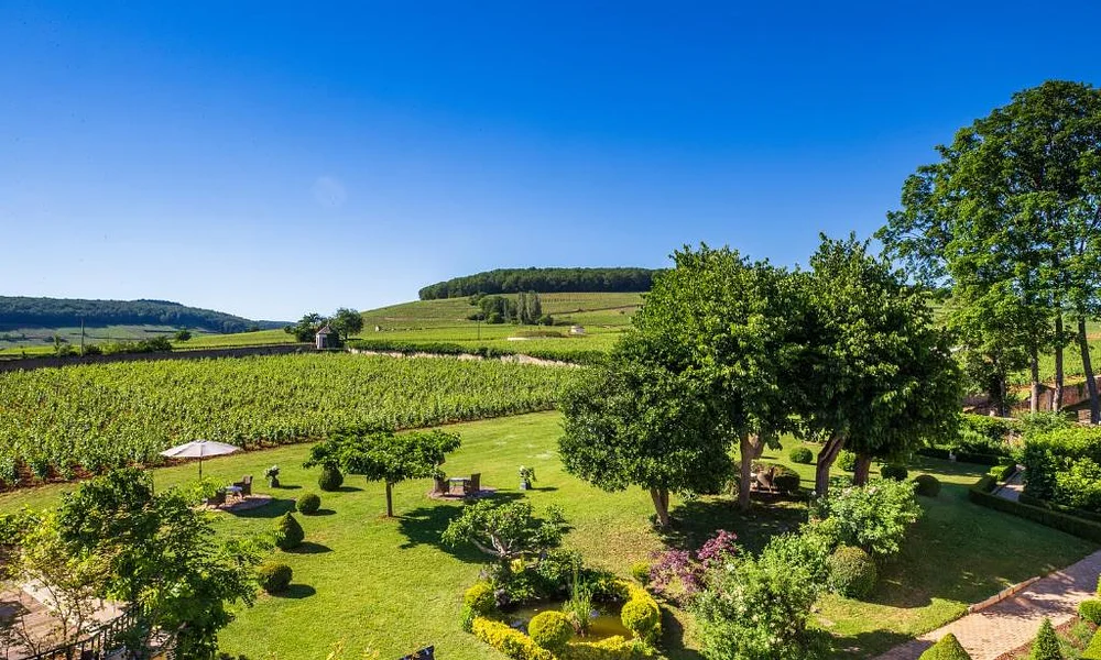 Events and Experiences