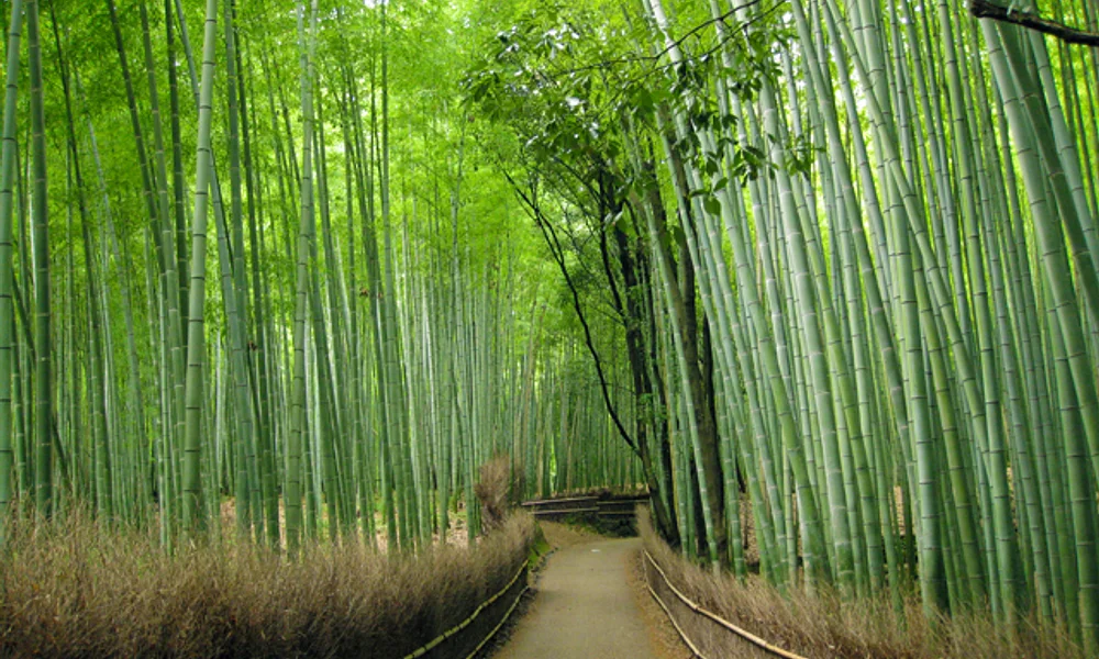 Events and experiences