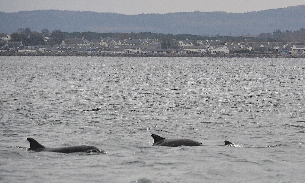 Events & Experiences