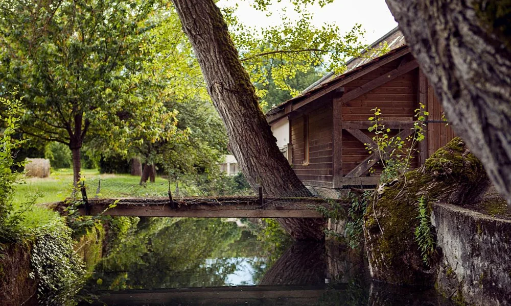 Events and experiences