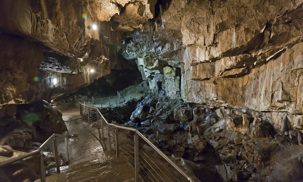 Events & Experiences