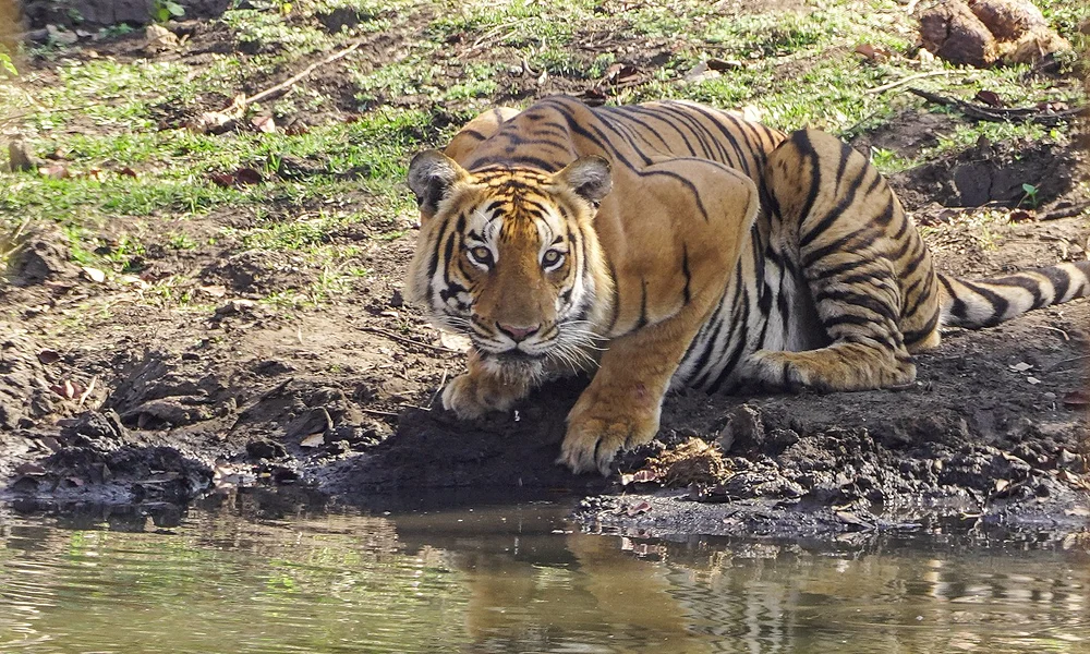 Events & Experiences