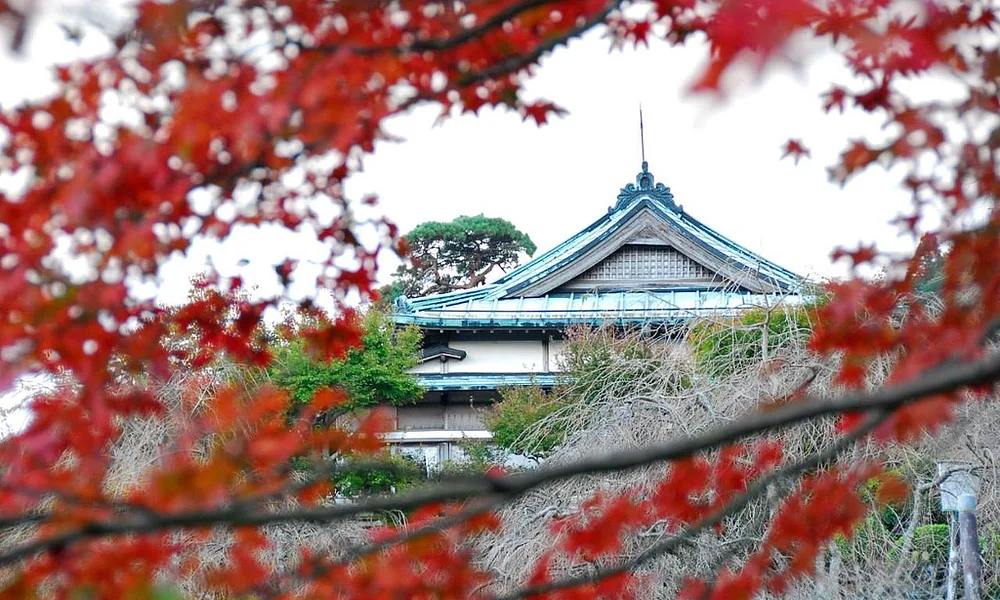 Events and Experiences