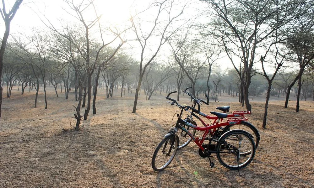 Events and Experiences