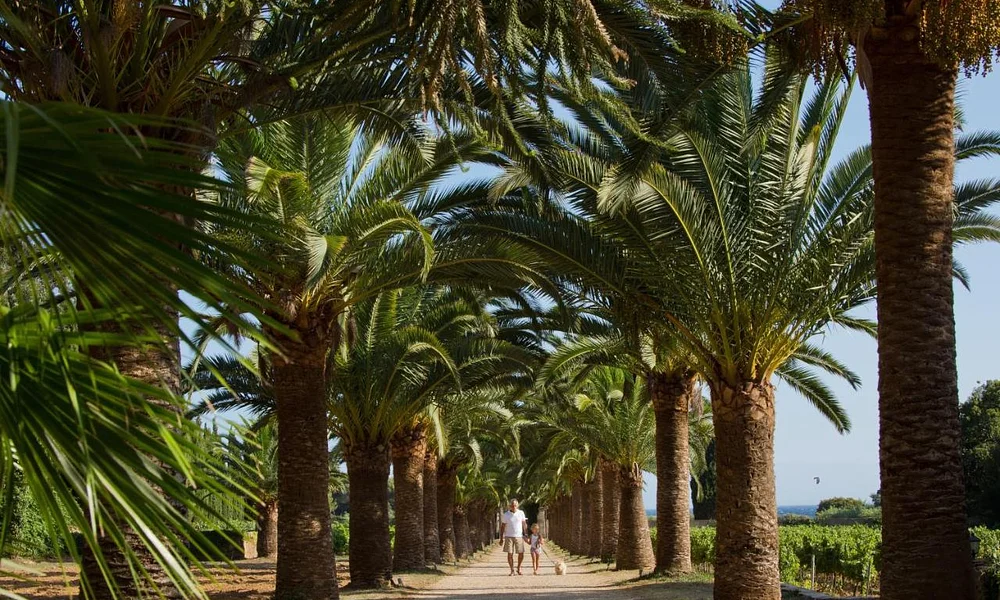 Events and experiences