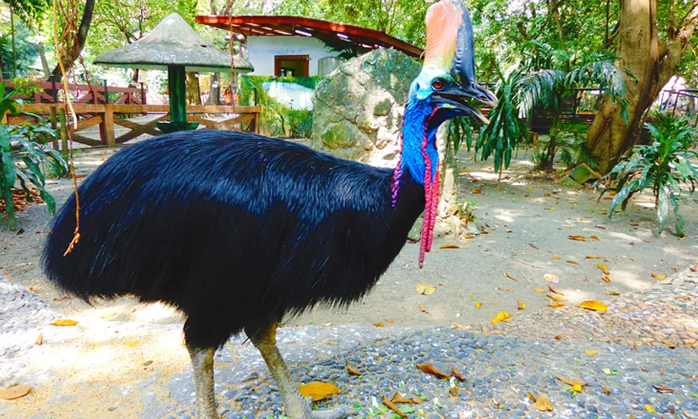 Events and Experiences