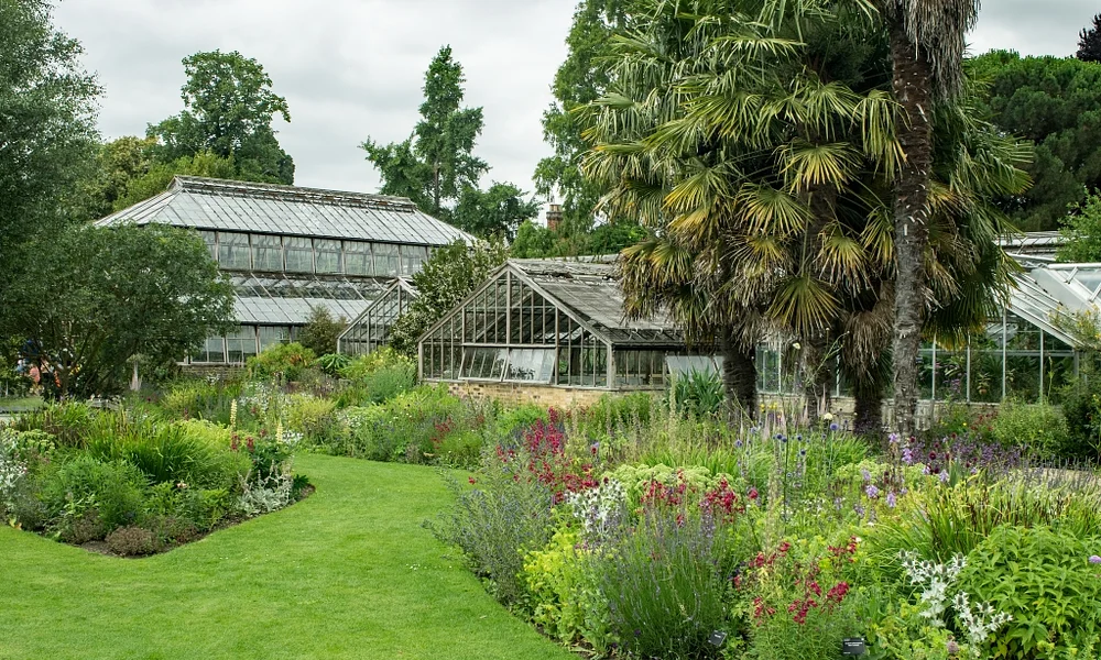 Events & Experiences