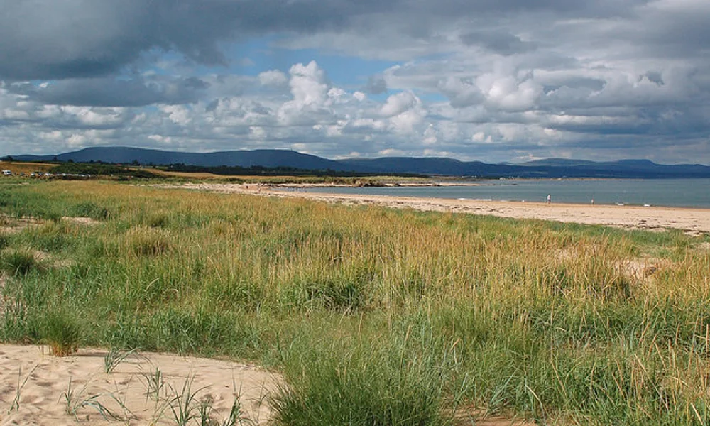 Events & Experiences