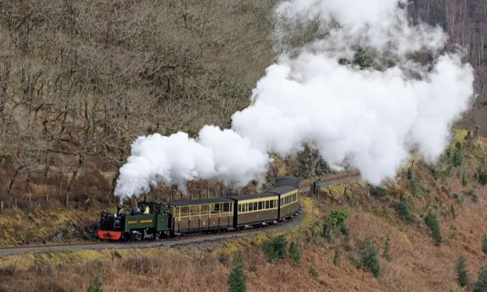 Events & Experiences