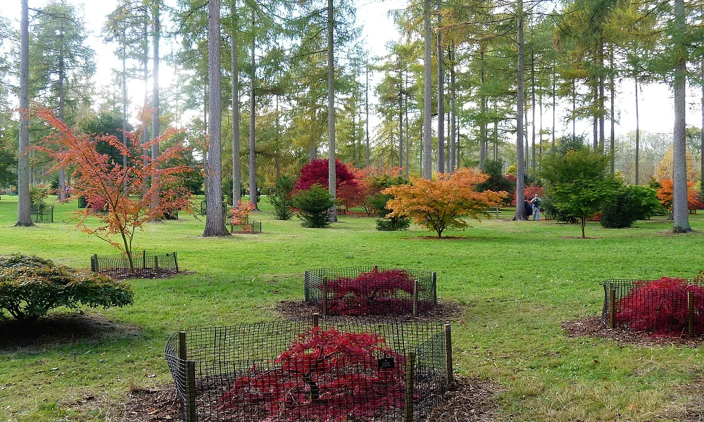 Events & Experiences