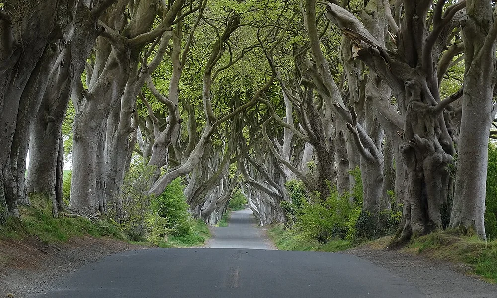 Events and Experiences