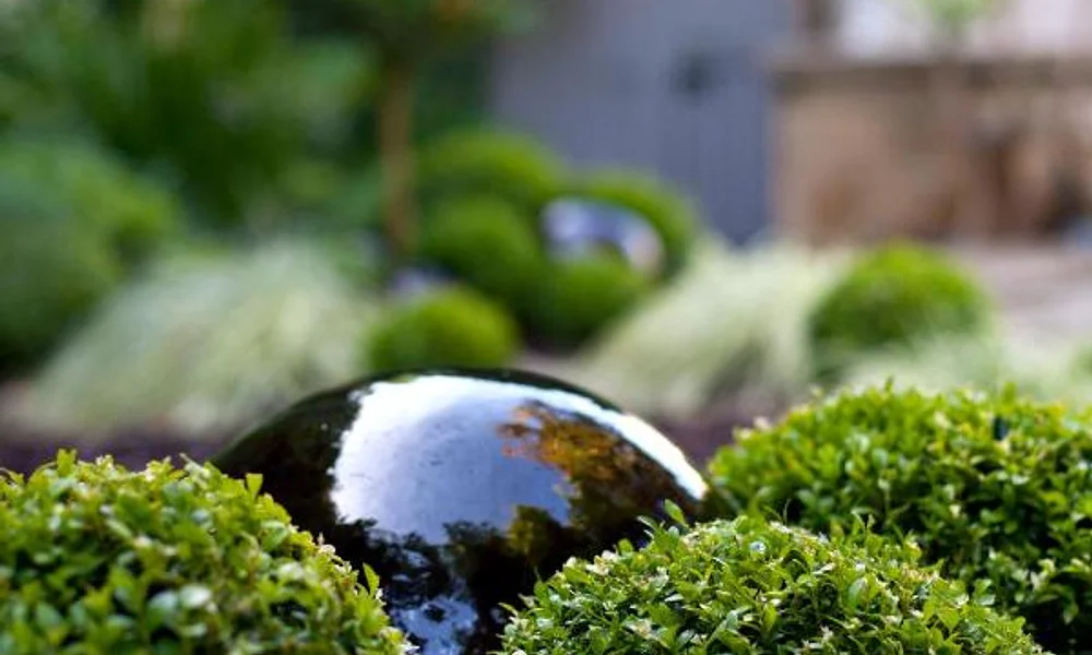 Events and experiences