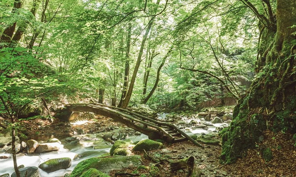 Events and experiences