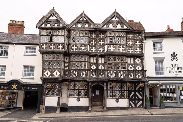 The Feathers Hotel