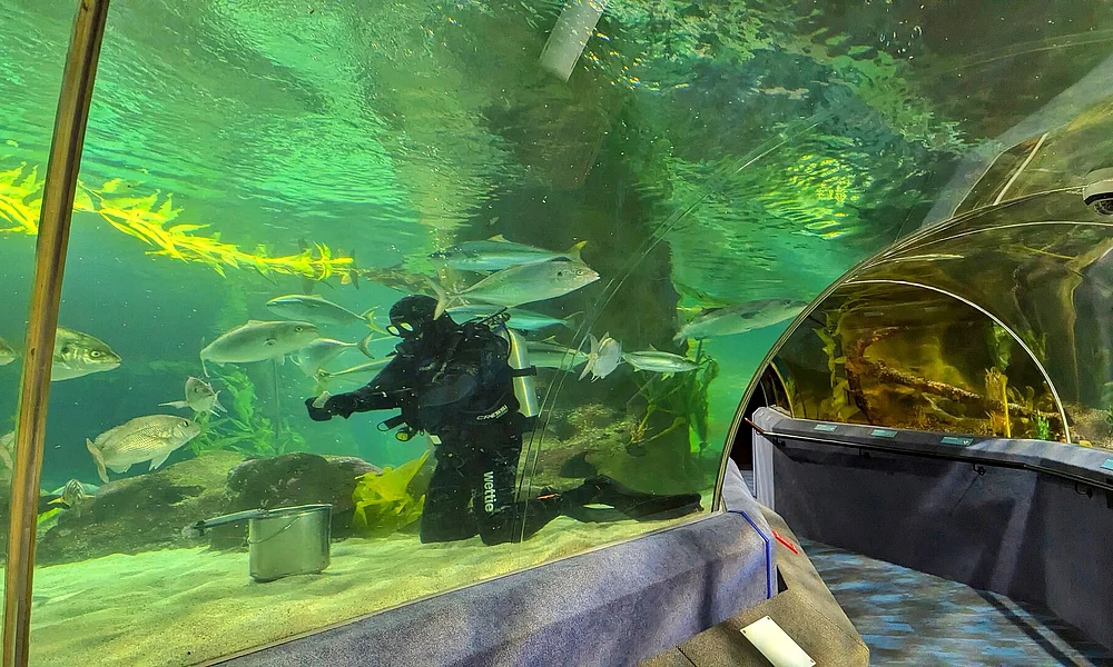 Events & Experiences