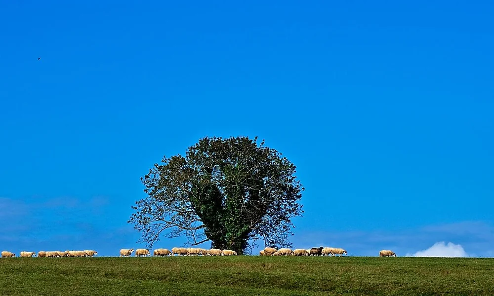 Events and experiences