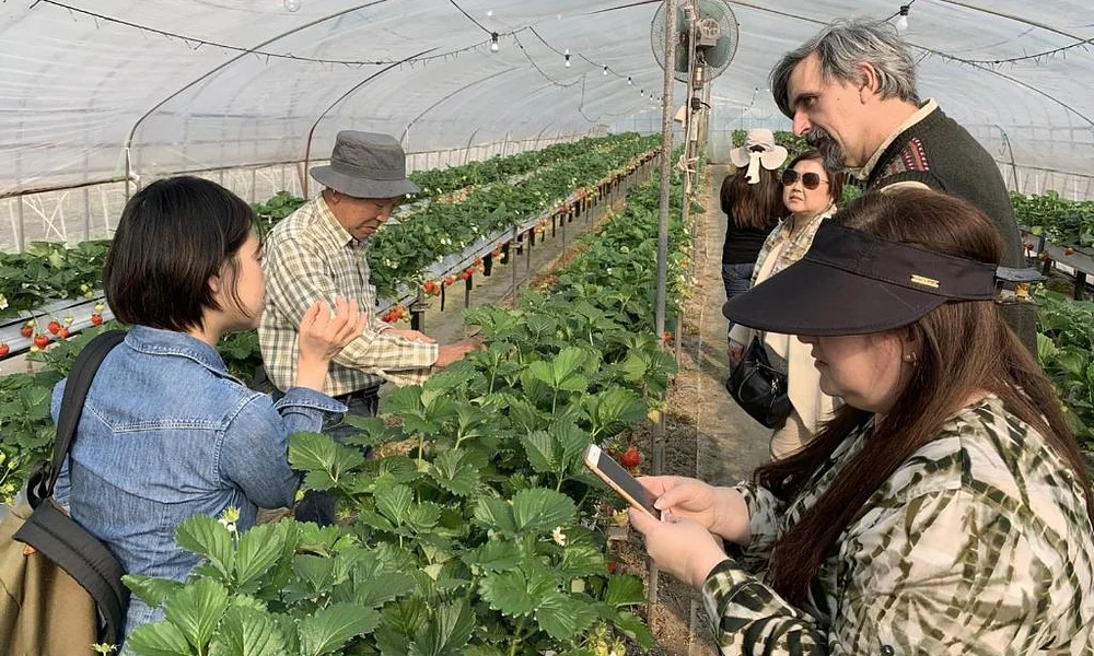 Events and experiences