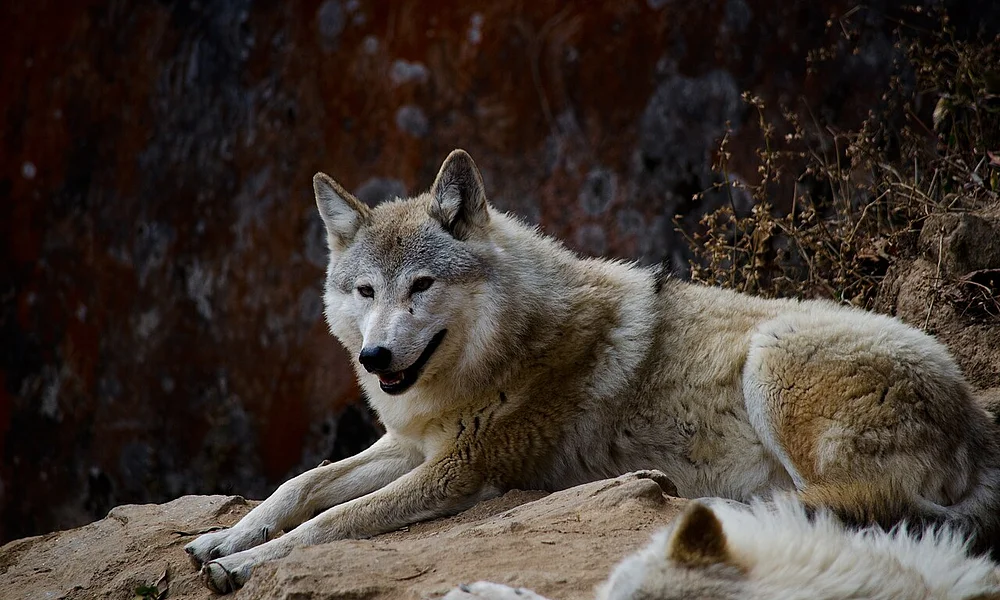 Events and Experiences