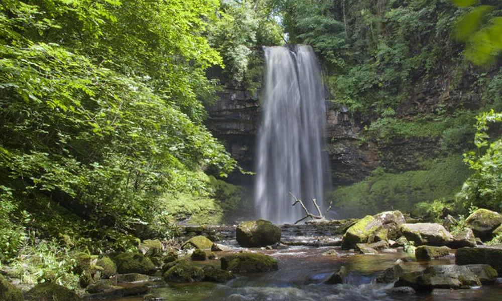 Events & Experiences