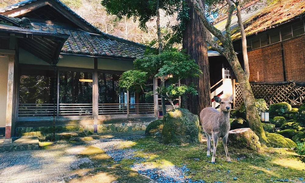 Events and experiences