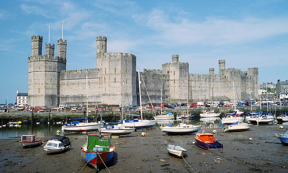 Events & Experiences