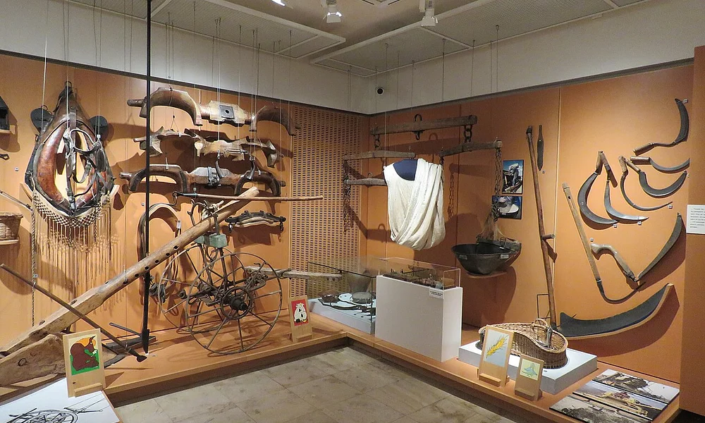 Events and Experiences